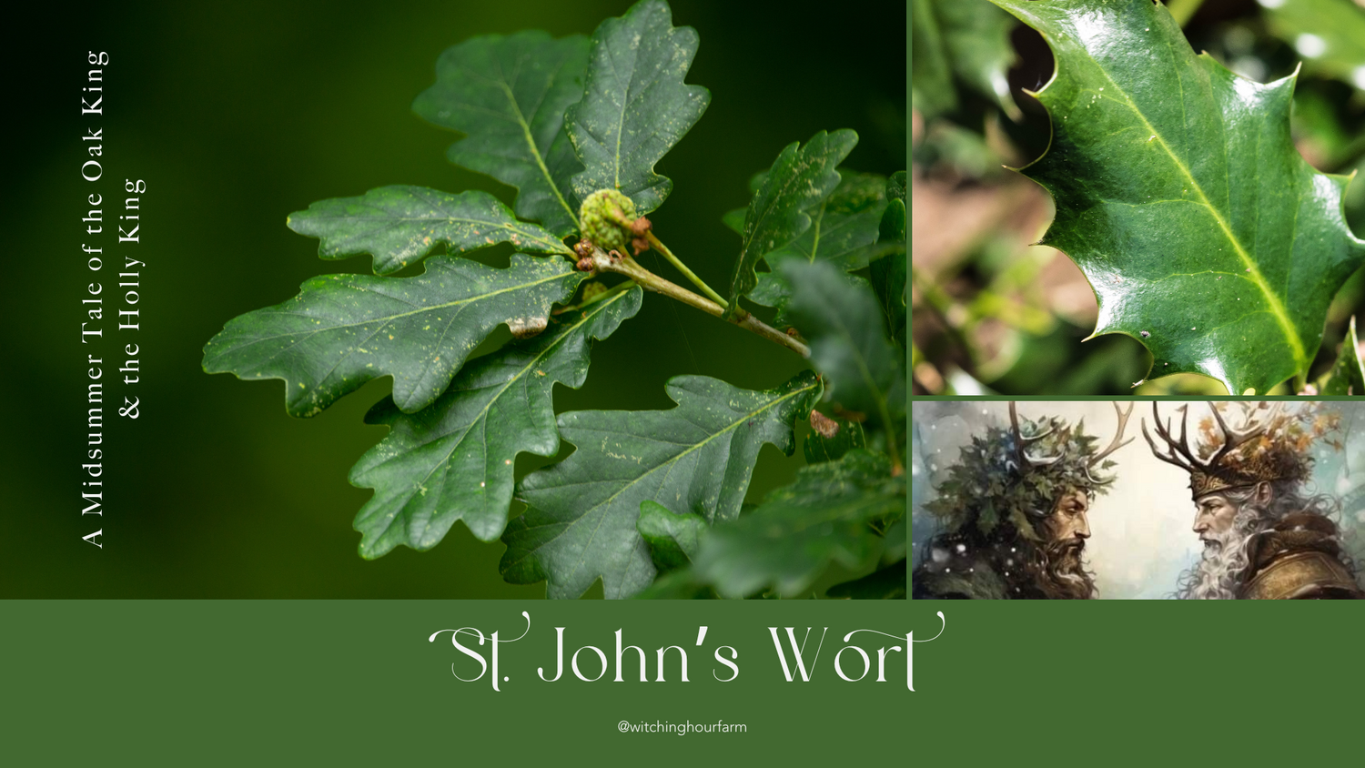 St. John's Wort: A Midsummer Tale of the Oak King & the Holly King