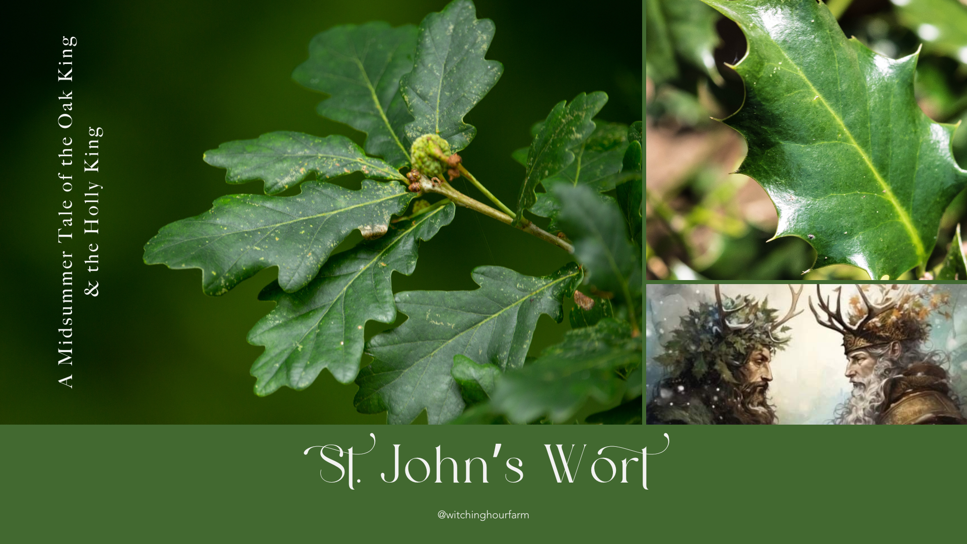 St. John's Wort: A Midsummer Tale of the Oak King & the Holly King