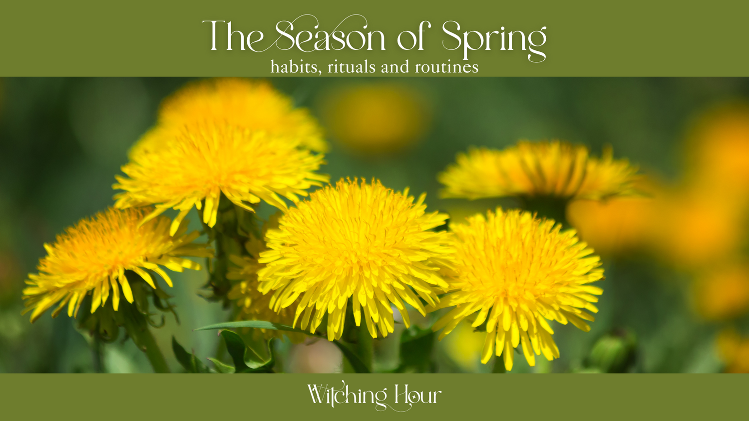 The Season of Spring: Habits, Rituals, and Routines