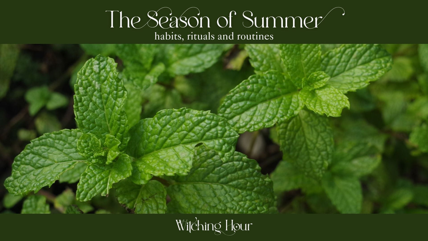 The Season of Summer: Habits, Rituals, and Routines