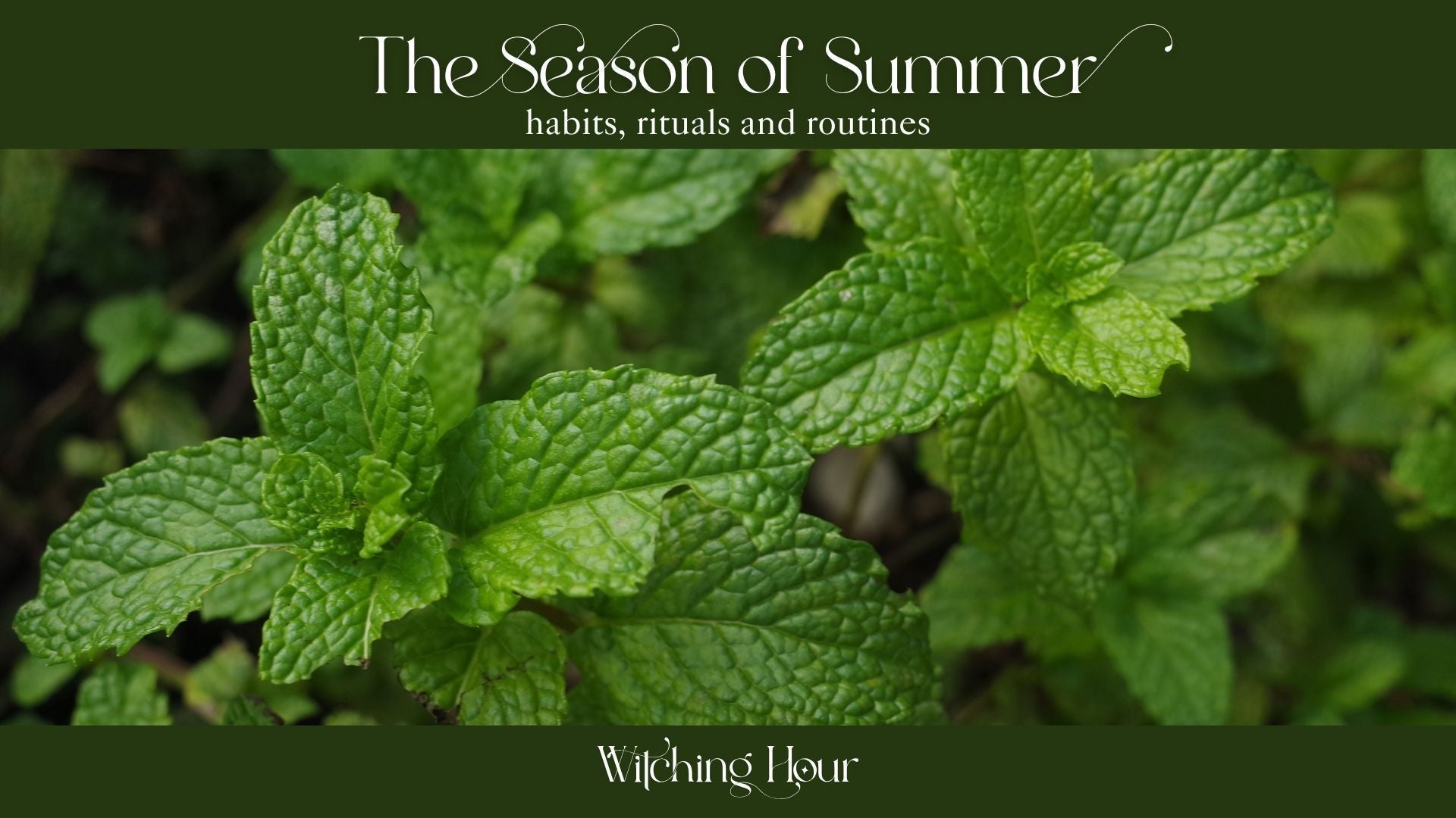 The Season of Summer: Habits, Rituals, and Routines