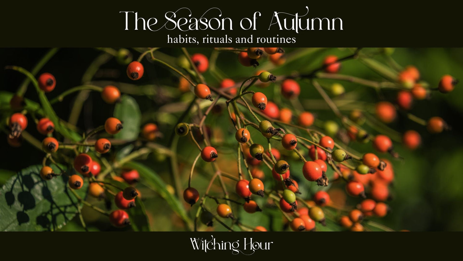 The Season of Autumn: Habits, Rituals and Routines
